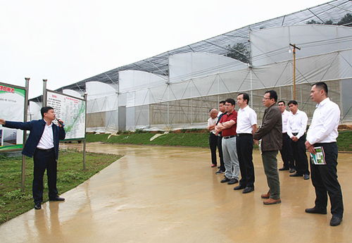 廣西百色人大網(wǎng)