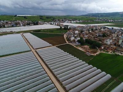 先行示范 亮點(diǎn)紛呈--麒麟?yún)^(qū)統(tǒng)籌推進(jìn)鄉(xiāng)村振興示范點(diǎn)建設(shè)