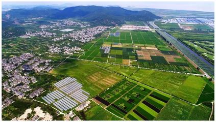 總面積8.5萬畝!海寧農(nóng)業(yè)經(jīng)濟開發(fā)區(qū)成立!