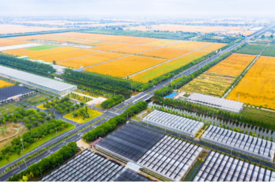 江蘇海安:深耕農(nóng)業(yè)園 在現(xiàn)代農(nóng)業(yè)發(fā)展道路上闊步前進