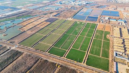 墾利經濟開發區、興隆街道:聚焦民生福祉 繪就幸福生活新圖景