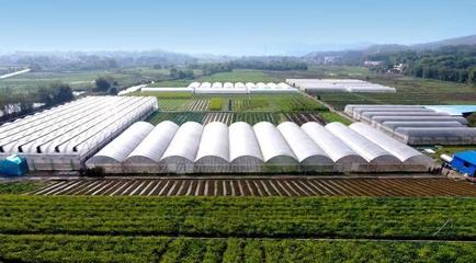 韶關曲江:奮進新時代 譜寫新篇章