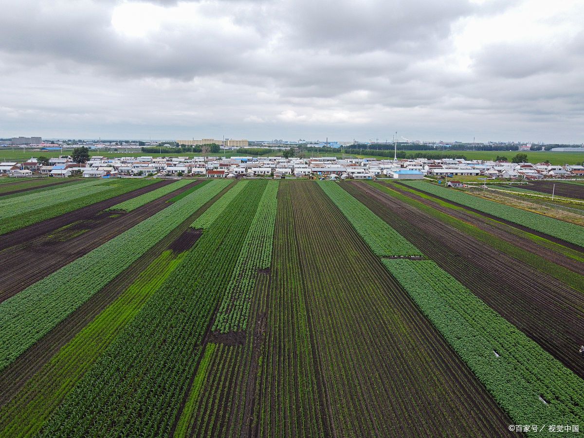 農業工程(農業綜合開發生態工程)專業設計甲級資質公司項目范圍