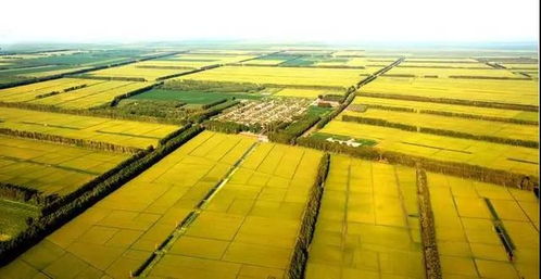 再見十月 回憶一下,十月我們都做了什么