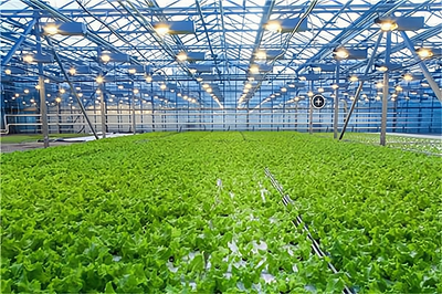 開一家天賦生態(tài)農(nóng)業(yè)開發(fā)加盟費多少?大致需要8.1萬元起