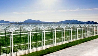 河南農園農業科技開發——推動現代農業發展的新引擎