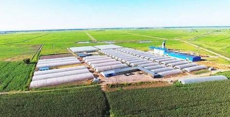 扶余 產業(yè)強、農民富，繪就千里沃野新圖景