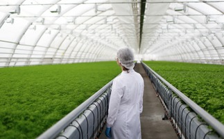 有機農業(yè)發(fā)展緩慢的深層原因與挑戰(zhàn)