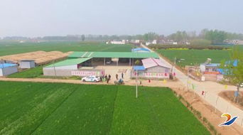 發(fā)展新型農業(yè)，帶動村民致富——農業(yè)開發(fā)的新路徑