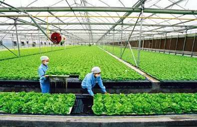 2017下半年這10個農業項目補貼不能再錯過！