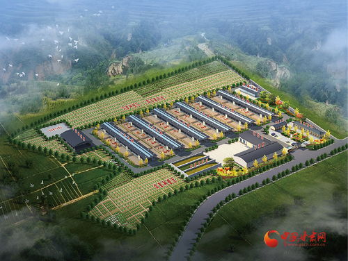 涇川加快培育新質(zhì)生產(chǎn)力，激活農(nóng)業(yè)產(chǎn)業(yè)發(fā)展新動(dòng)能