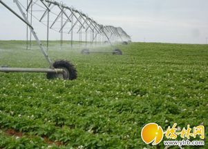 農(nóng)機(jī)補(bǔ)貼精準(zhǔn)落地，我市現(xiàn)代農(nóng)業(yè)發(fā)展注入新動(dòng)能