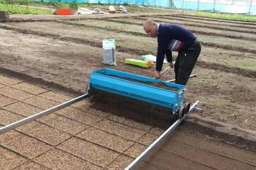 責(zé)任鑄就誠信，匠心滋養(yǎng)沃土——記興安盟嶺南香農(nóng)產(chǎn)品開發(fā)有限責(zé)任公司的農(nóng)業(yè)開發(fā)之路