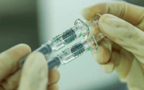 北京芯詣解讀 新冠病毒持續變異，你最關心的五大問題都在這里